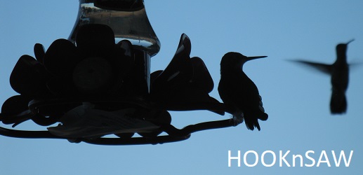 hooknsaw Banner