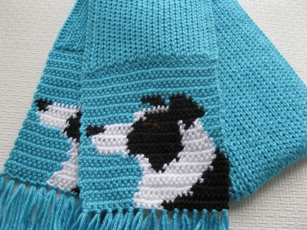 Border Collie Scarf. Turquoise blue knit scarf with black and white