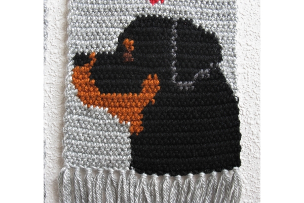 close up rottweiler