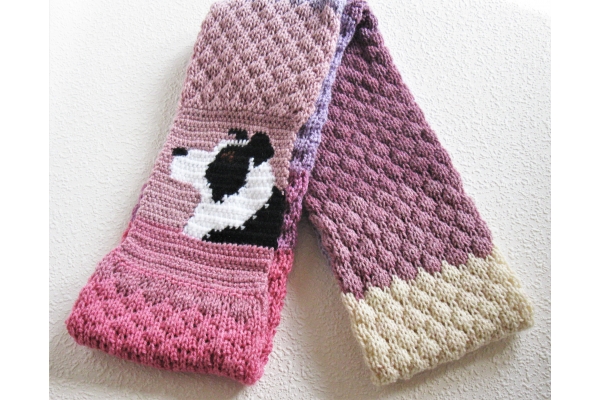 border collie scarf