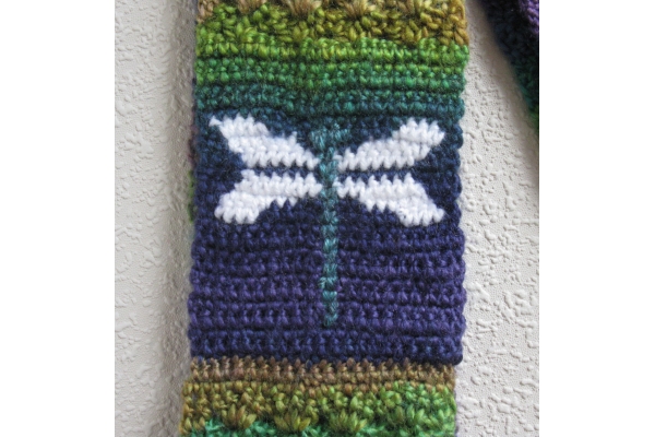 close up dragonfly