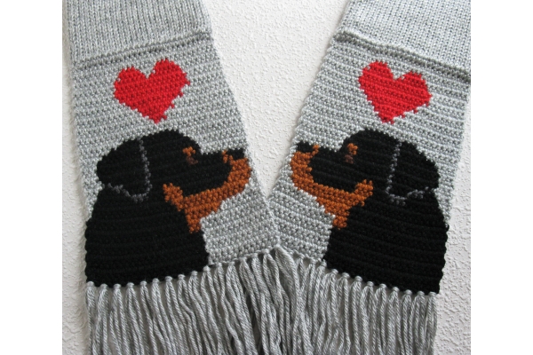 cute Rottweiler dogs