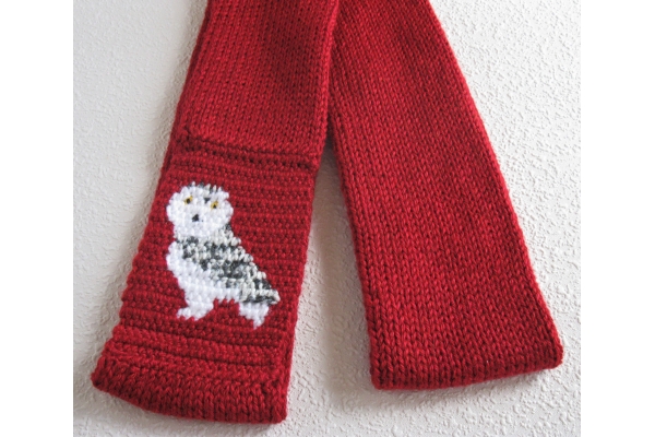 snowy owl