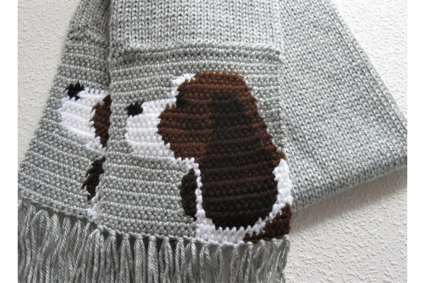 liver and white spaniel