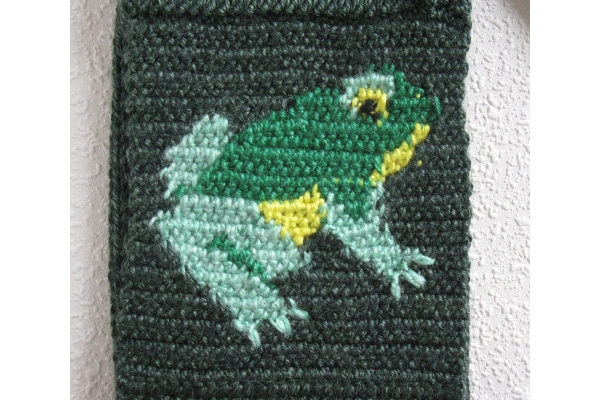back side of frog