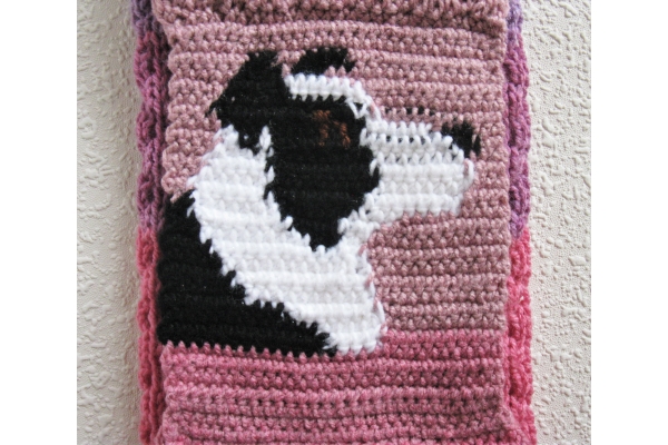 reverse border collie