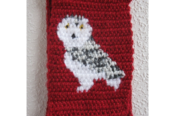 owl close up