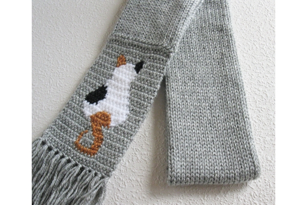 calico cat