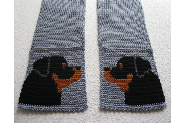 knit dog scarf