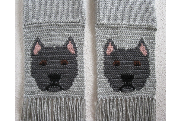 Pitbull terrier scarf