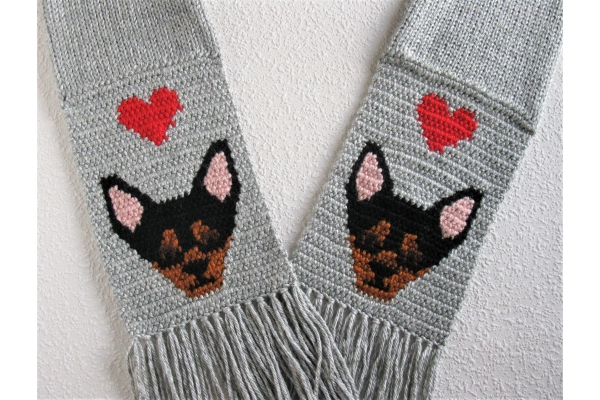 chihuahua gray scarf