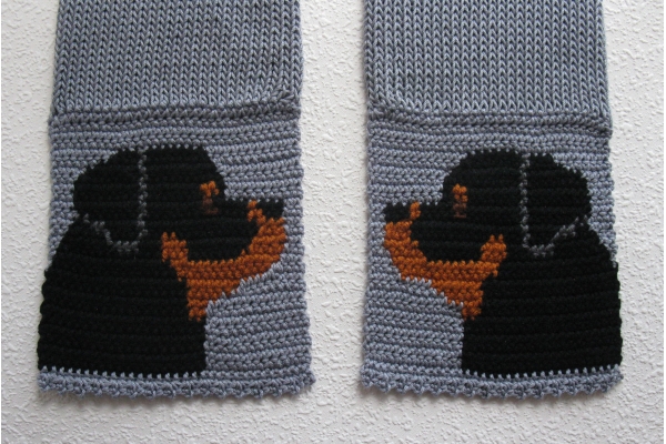 rottweiler dogs