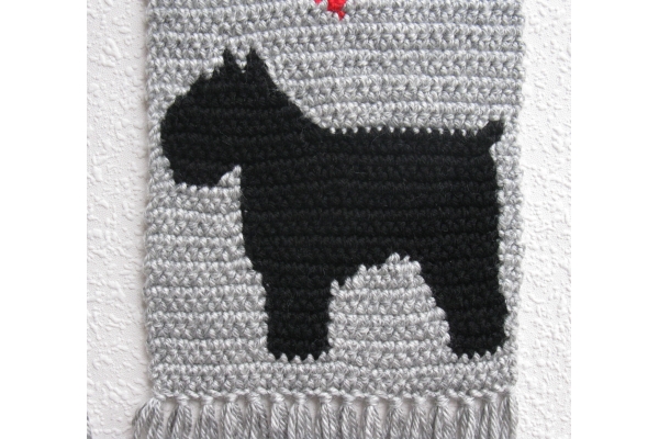 bouvier close up