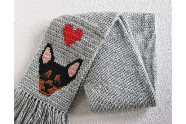 chihuahua and heart