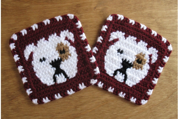 English bulldogs