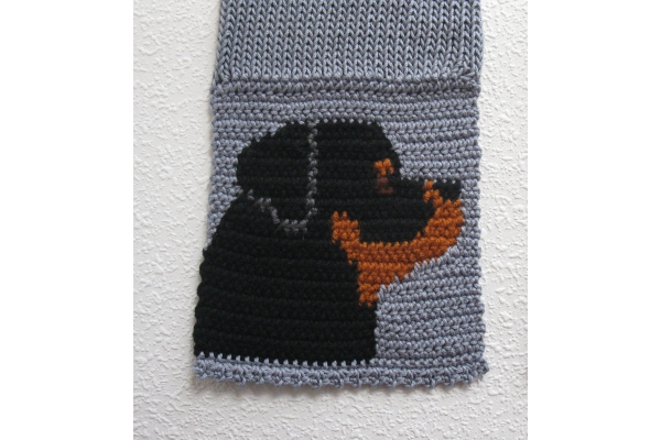 close up rottweiler