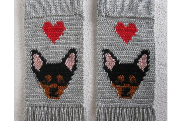 chihuahua reverse