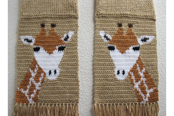 close up of giraffes