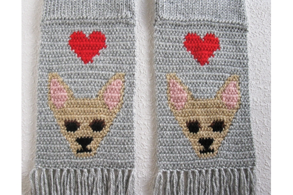 fawn chihuahua dogs