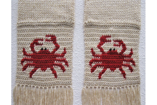 close up crabs