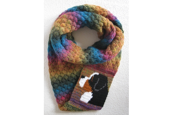 bernese mountain dog scarf