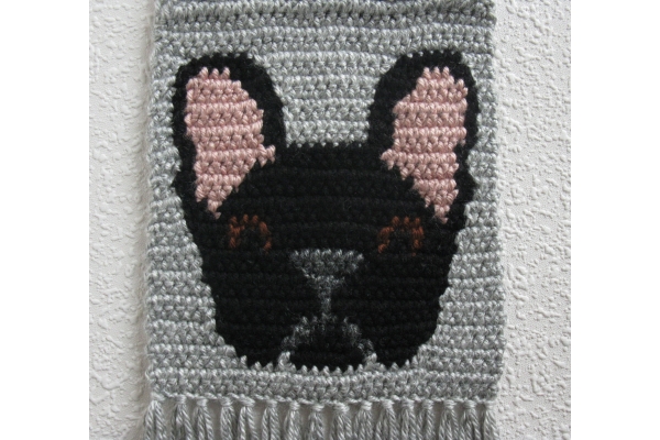 close up bulldog
