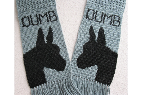 dumb ass scarf