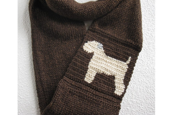 wheaten terrier dog