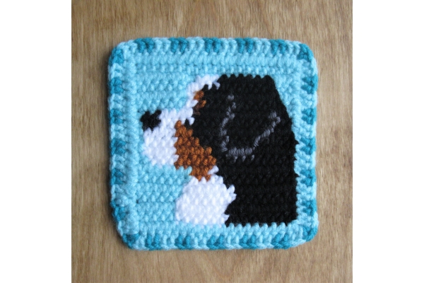 mountain dog mug rug