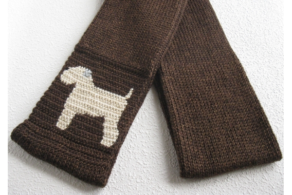 wheaten dog