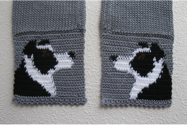 back side of dog scarf