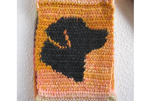 reverse side of scarf