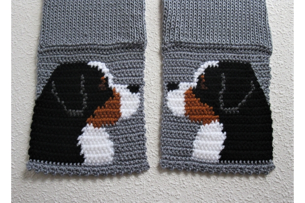 mountain dogs