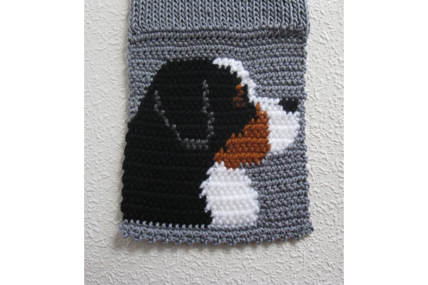 close up berner dog
