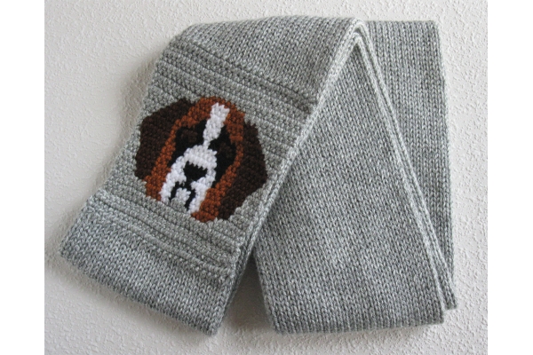 dog infinity scarf