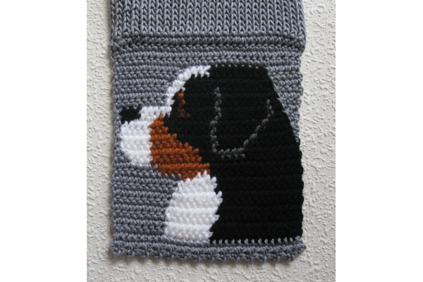 close up mountain dog