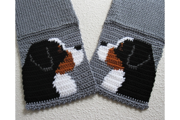 Bernese mountain dog scarf