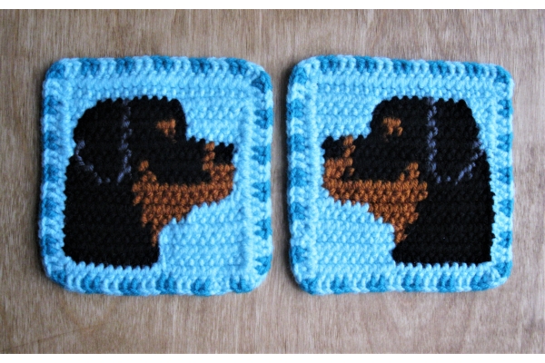 turquoise dog coasters