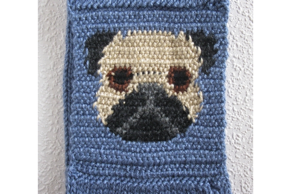 reverse side of pug