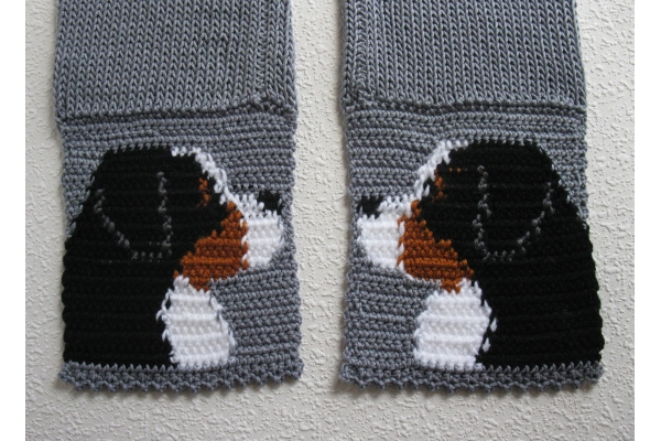 back side of mountain dogs