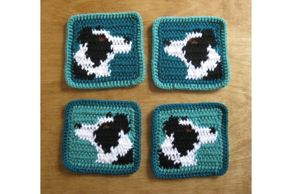 back side of coasters