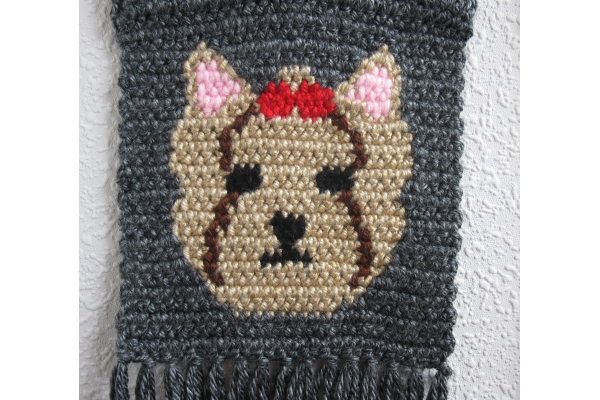 Yorkie terrier