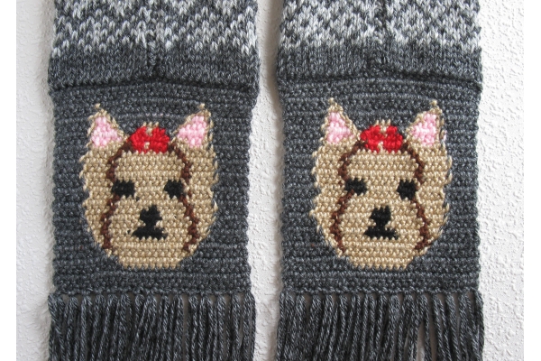reverse yorkies