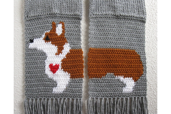 welsh corgi