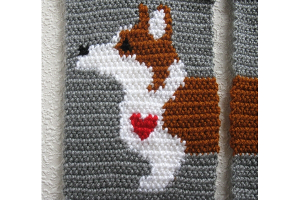 corgi and heart