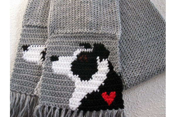 border collie scarf