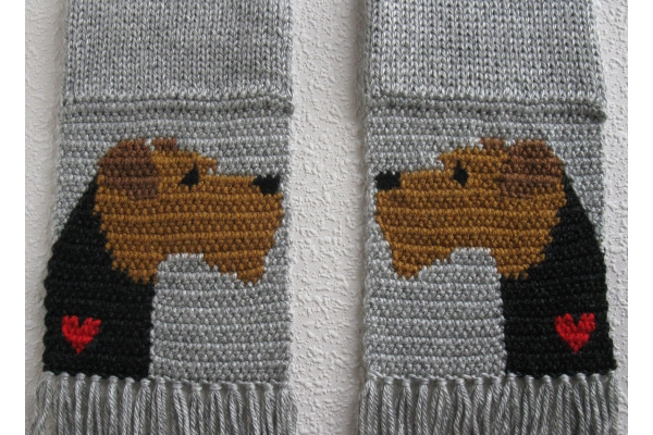 welsh terriers