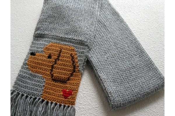 labradoodle scarf