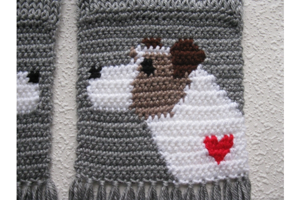 close up jack russell