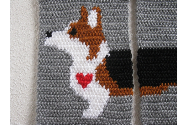 corgi and heart